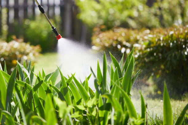 24/7 Emergency Wasp Removal experts in Del Monte Forest, CA