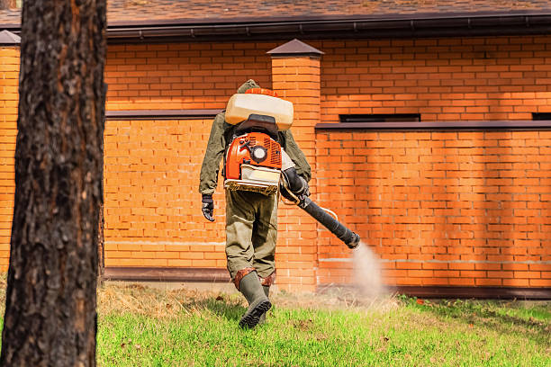 Top rated local Wasp Removal specialists in Del Monte Forest, CA